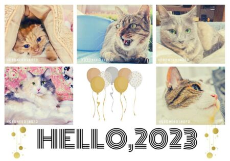 2023年あいさつ