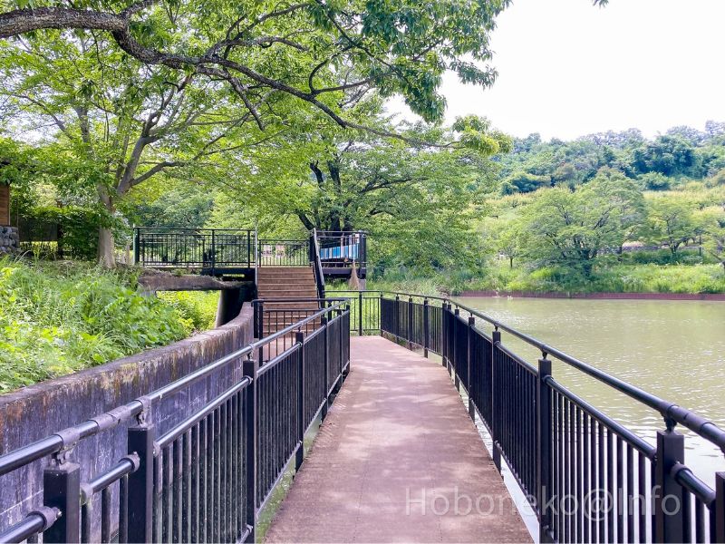 矢木羽湖公園｜水上デッキ