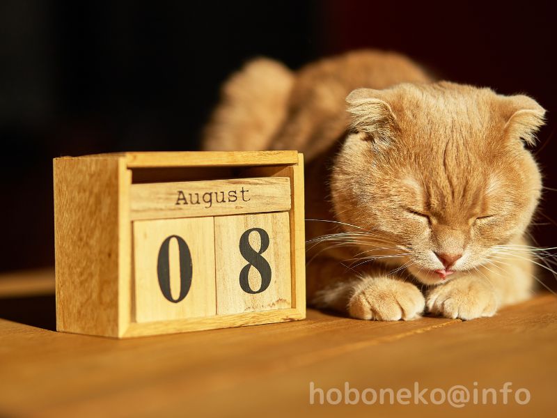 ８月８日は世界猫の日