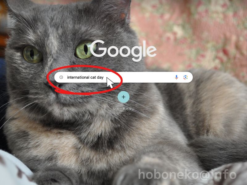 世界猫の日｜Google検索の入力画面