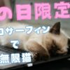 猫の日のネッコサーフィンで無限猫